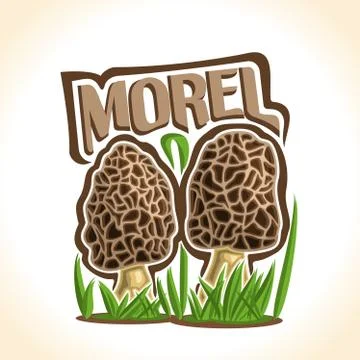 Vector logo for Morels Stock Illustration