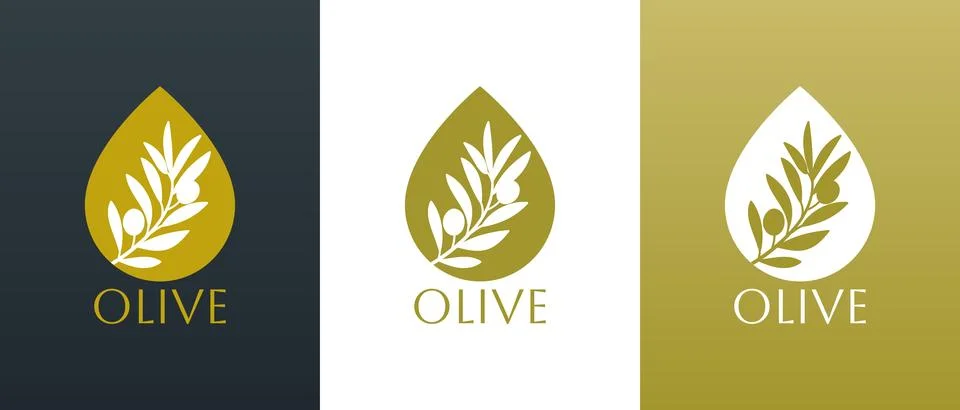 Vector logo of olive branch with leaves. Modern hand drawn vector olive oil.. Stock Illustration