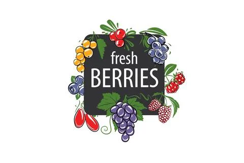 Vector logo with painted fresh berries. Stock Illustration