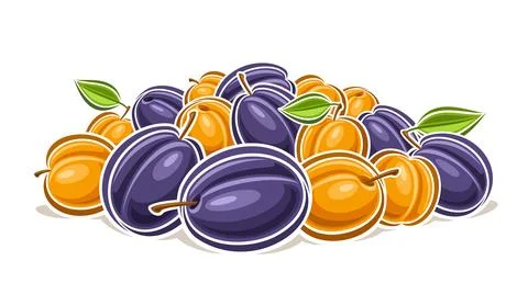 Vector logo for Plum and Apricot Illustrazione stock