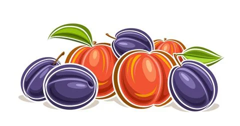 Vector logo for Plum and Peach 스톡 일러스트
