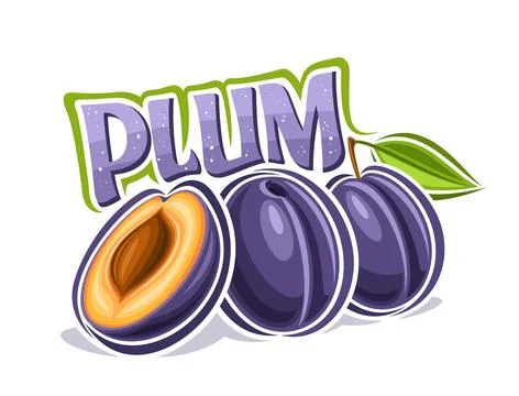 Vector logo for Plum 스톡 일러스트