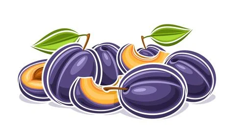 Vector logo for Plum Stock-Illustration