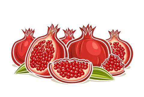 Vector logo for Pomegranate Stock Illustration