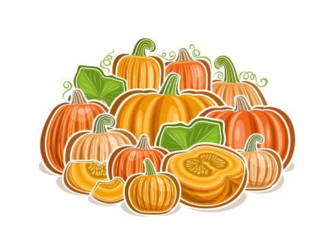 Vector logo for Pumpkins Stock Illustration