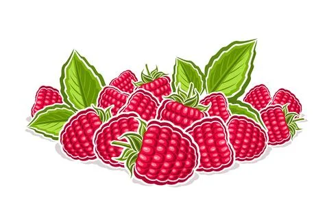 Vector logo for Raspberry Stock Illustration