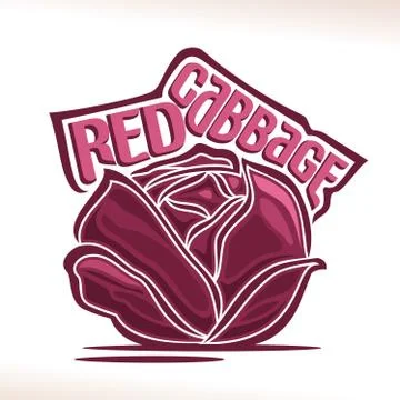 Vector logo for Red Cabbage Stock Illustration