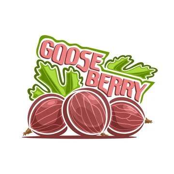 Vector logo for Red Gooseberry Stock Illustration