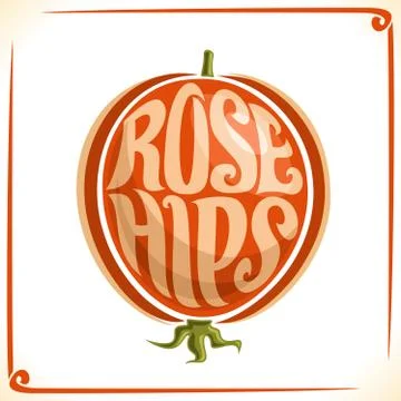 Vector logo for Rose Hips Stock Illustration