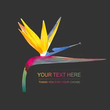 Vector logo with strelizia. Simple sign for flower shop, organic shop, restau Stock Illustration
