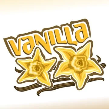 Vector logo for Vanilla Stock Illustration