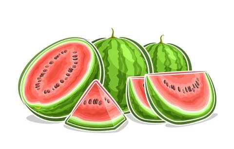 Vector logo for Watermelon Stock Illustration