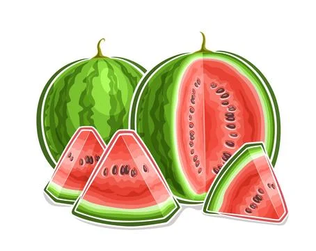 Vector logo for Watermelon Stock Illustration