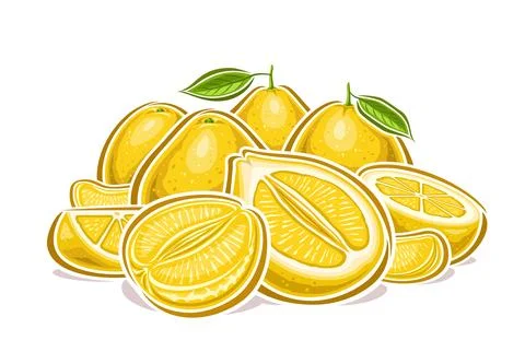 Vector logo for Yellow Pomelos Stock Illustration