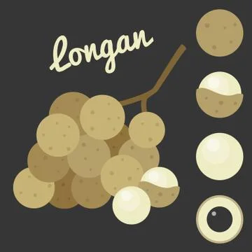 Vector Longan,flat style Stock Illustration