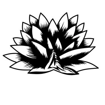 Vector with lotus flower Stock Illustration