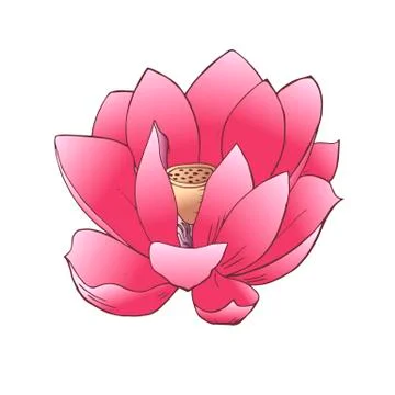 Vector Lotus Stock Illustration
