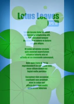 Vector : Lotus leaves background and space for text Stock Illustration