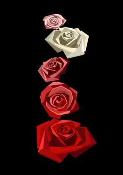 Vector low poly roses pyramid. Black background Stock Illustration