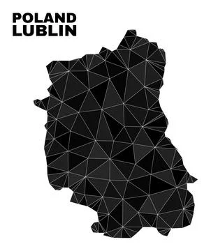 Vector Lowpoly Lublin Voivodeship Map イラスト素材