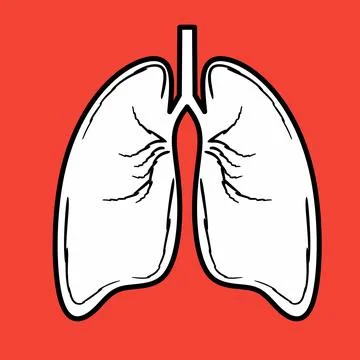 Vector Lungs Stock Illustration