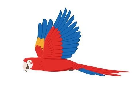 Vector macaw parrot 스톡 일러스트