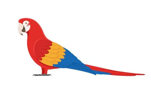 Vector macaw parrot 스톡 일러스트