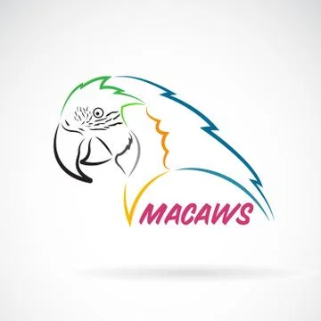 Vector of macaws parrot on white background. Bird Icon. Wild Animals. Easy ed Stock Illustration