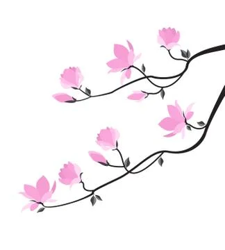 Vector magnolia flowers Stock Illustration