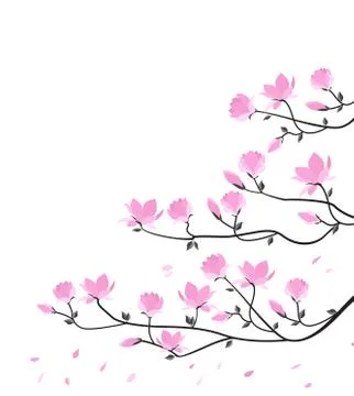 Vector magnolia flowers Stock Illustration