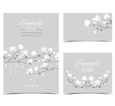 Vector magnolia flowers Stock Illustration