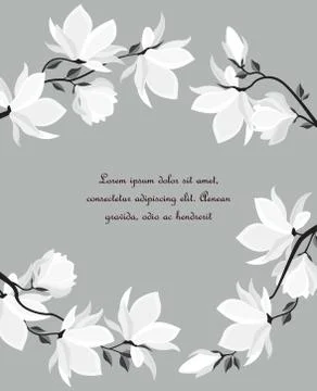 Vector magnolia flowers Illustrazione stock
