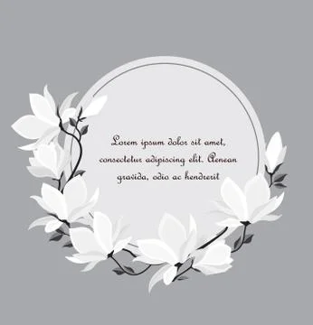 Vector magnolia flowers Stock Illustration