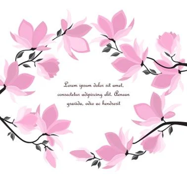 Vector magnolia flowers Stock Illustration