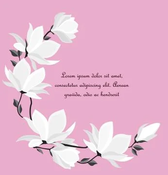 Vector magnolia flowers Stock Illustration