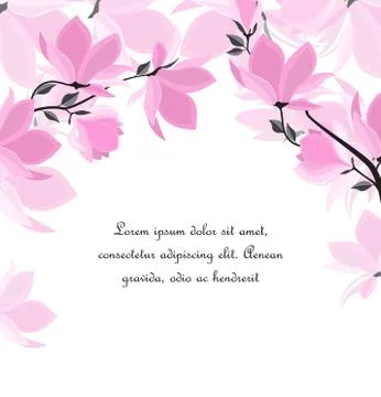 Vector magnolia flowers Illustrazione stock