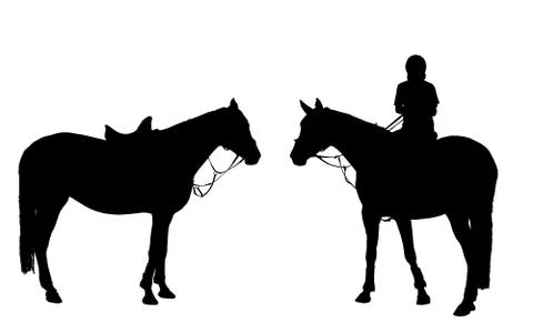 Vector man on horseback Stock Illustration