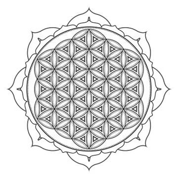 Vector mandala sacred geometry illustration. Stock-Illustration