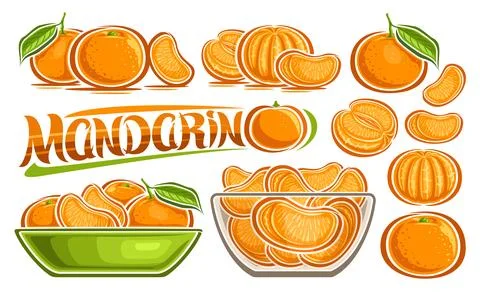 Vector Mandarin Set Stock Illustration