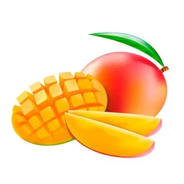 Vector mango. Realistic illustration of a mesh gradient. Illustration