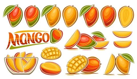 Vector Mango Set 스톡 일러스트