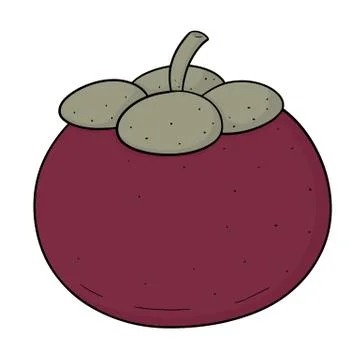 Vector of mangosteen Stock Illustration