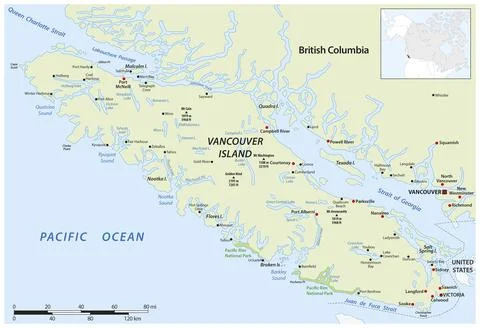 Vector map of the Canadian Pacific island of Vancouver Island Stock Illustration