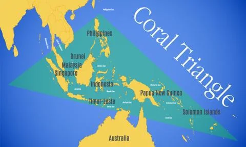 Vector map of the Coral Triangle Stock Illustration