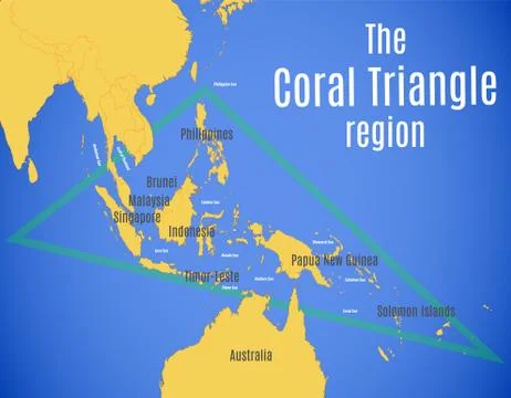 Vector map of the coral triangle region Stockillustratie