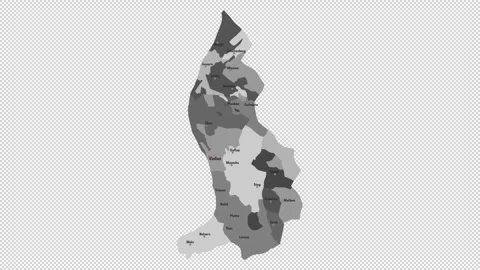 Vector map of Liechtenstein with names of cities and with borders city Stock Footage 331136989
