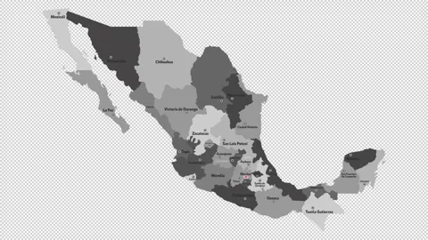 Vector map of Mexico with names of cities and with borders city Stock Footage 329631984