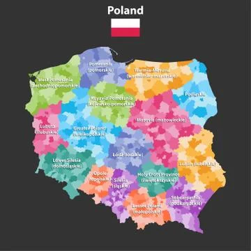 Vector map of Poland provinces with administrative divisions Illustrazione stock