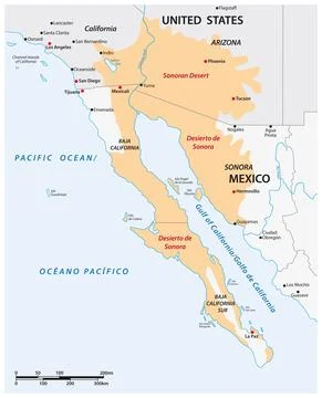 Vector map of the Sonoran Desert, Mexico, United States Stock Illustration