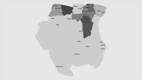 Vector map of Suriname with names of cities and with borders city Stock Footage 331137632